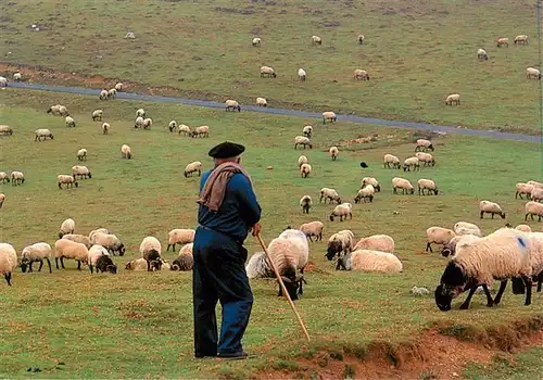 AK / Ansichtskarte  Schaeferei_Sheperding_Bergerie Pays Basque Berger 