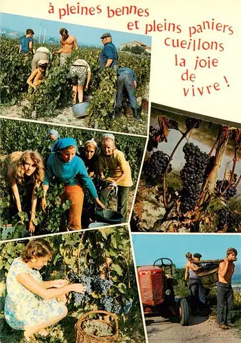 AK / Ansichtskarte 73953410 Wein_Wine_Vin_Vino pleines bennes Bron Landwirtschaft 