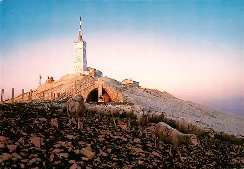 AK / Ansichtskarte  Schaeferei_Sheperding_Bergerie Mont Ventoux 