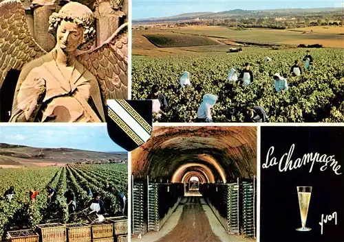AK / Ansichtskarte  Champagne__Weinregion Couleurs et Lumiere de France 