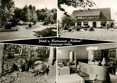 AK / Ansichtskarte 73953582 Steinbeck_Luhe Hotel Restaurant Ankara Lueneburger Heide Wildschweine