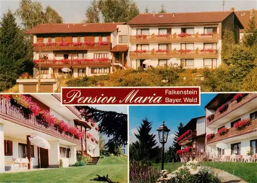 AK / Ansichtskarte  Falkenstein_Bayerischer_Wald Pension Maria