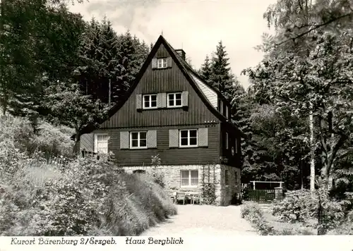 AK / Ansichtskarte  Baerenburg_Sachsen Haus Bergblick Handabzug