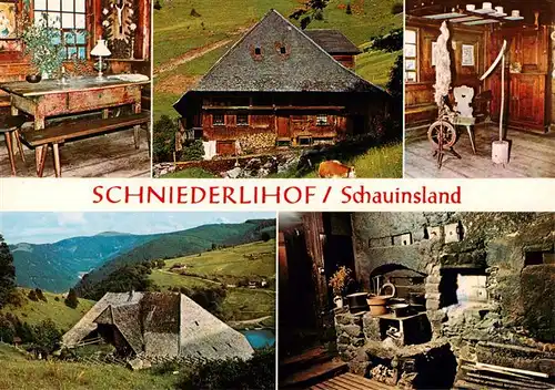AK / Ansichtskarte 73953947 Hofsgrund_Oberried_Schauinsland Bauernhaus Museum Schniederlihof 300-jaehriges Schwarzwaldhaus Panorama