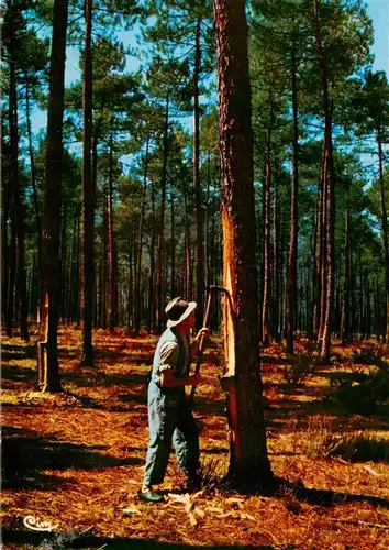 AK / Ansichtskarte  Landwirtschaft Harzarbeiter in Wald