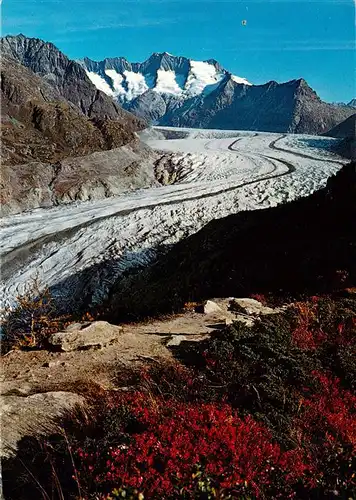 AK / Ansichtskarte  Gletscher_Glacier_Glaciar Aletschwald Wannenhorn