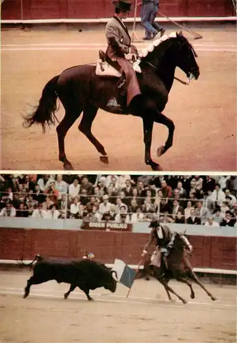 AK / Ansichtskarte  Stierkampf_Corrida_de_Toros_Bullfight Alvaro Domeco
