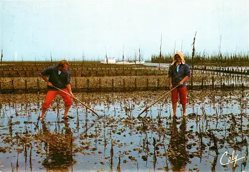 AK / Ansichtskarte  Landwirtschaft Couple de parqueurs 