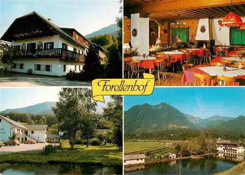 AK / Ansichtskarte  Gruenau_Almtal_Oberoesterreich_AT Forellenhof Kinderurlaubsparadies Wieselmuehle Gaststube Panorama