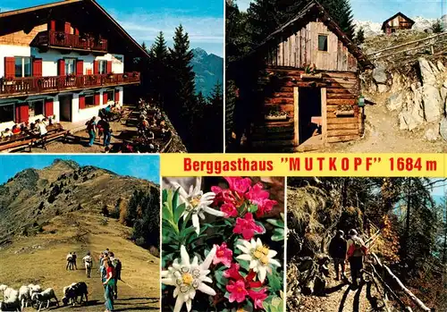 AK / Ansichtskarte 73954267 Dorf-Tirol_Suedtirol_IT Berggasthof Mutkopf Naturpark Texelgruppe Alpenflora Bergwandern