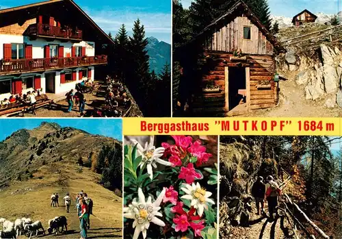 AK / Ansichtskarte  Dorf-Tirol_Suedtirol_IT Berggasthof Mutkopf Naturpark Texelgruppe Alpenflora Bergwandern