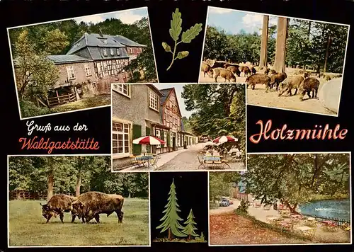AK / Ansichtskarte 73954341 Eldagsen_Deister Waldgaststaette Holzmuehle am Saupark Wildschweine Bison