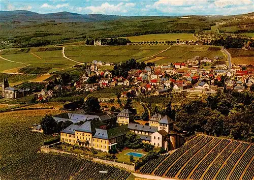 AK / Ansichtskarte  Johannisberg_Rheingau Weingut Schloss Johannisberg Fuerst von Metternich Winneburg Fliegeraufnahme