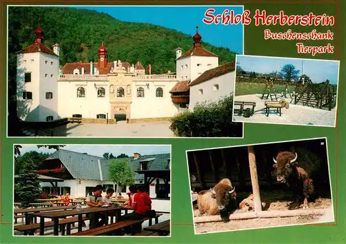 AK / Ansichtskarte 73954593 Herberstein_Steiermark_AT Schloss Herberstein Spielplatz Freiterrasse Bisons