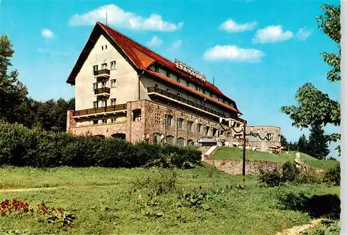 AK / Ansichtskarte  Predeal_Romania Hotel Rozmarin