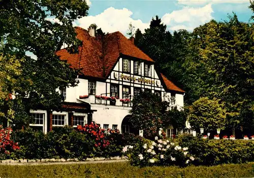 AK / Ansichtskarte  Duensen_Bassum Hotel Waldfrieden