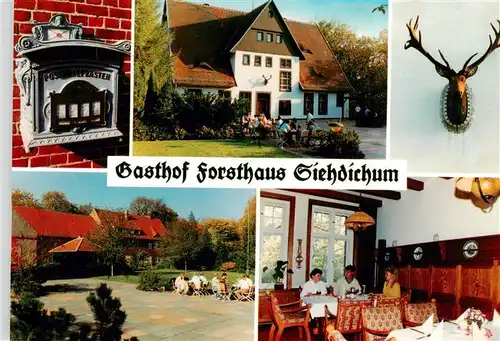 AK / Ansichtskarte 73955182 Schernsdorf Gasthof Forsthaus Siehdichum Hotel Restaurant Freiterrasse Gastraum