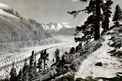 AK / Ansichtskarte  Gletscher_Glacier_Glaciar Aletschwald Grosser Aletschgletscher Fiescherhoeener