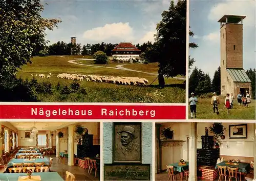 AK / Ansichtskarte  Raichberg_Onstmettingen Hoehengasthof Wanderheim Naegelehaus Schafherde Aussichtsturm