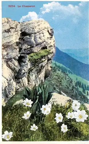 AK / Ansichtskarte  Le_Chasseron_VD Alpenflora Felsen Landschaft
