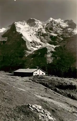 AK / Ansichtskarte  Wengen__BE Mettlenalp mit Jungfrau Berner Alpen