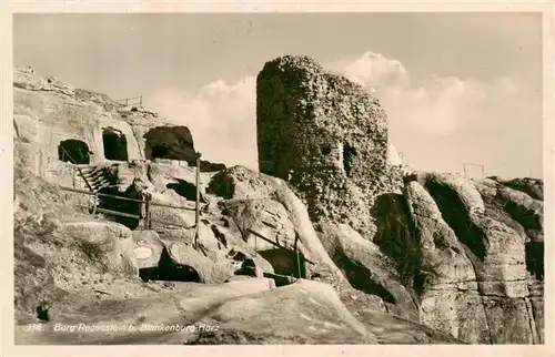 AK / Ansichtskarte  Blankenburg_Harz Burg Regenstein