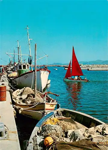 AK / Ansichtskarte  Saint_Cyprien_Plage_66_Pyrenees-Orientales Le Port les Alberes