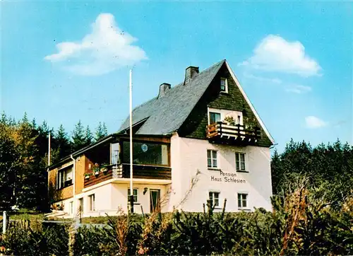 AK / Ansichtskarte 73955904 Neuastenberg Pension Haus Schlesien
