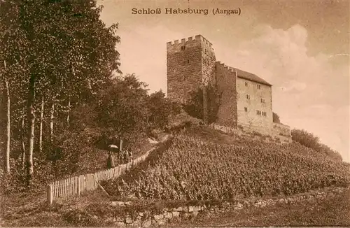 AK / Ansichtskarte  Habsburg_Schloss_AG Blick zum Schloss