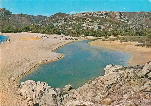 AK / Ansichtskarte  Sitia_Crete_Greece Strand mit Palmen-Hain