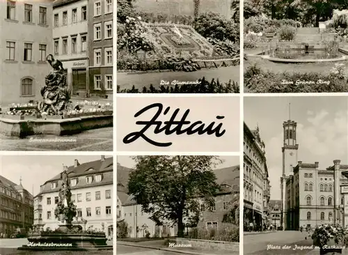 AK / Ansichtskarte  Zittau_Sachsen Schwanenbrunnen Blumenuhr Zum Gruenen Ring Herkulesbrunnen Museum Platz der Jugend Rathaus