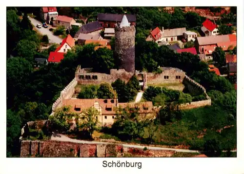 AK / Ansichtskarte  Schoenburg_Saale_Naumburg_Sachsen-Anhalt Fliegeraufnahme mit Schlossruine