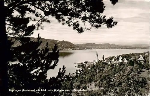 AK / Ansichtskarte  Sipplingen_Bodensee Panorama Blick nach Bodman und Ludwigshafen