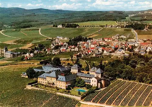 AK / Ansichtskarte  Geisenheim_Rheingau Weingut Schloss Johannisberg Fliegeraufnahme