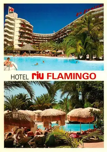 AK / Ansichtskarte  Gran_Canaria_ES Aparthotel Riu Flamingo