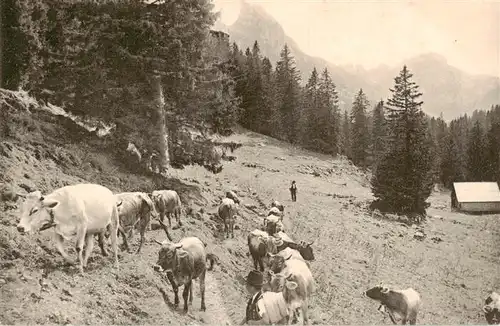 AK / Ansichtskarte  Landwirtschaft Kuehe 