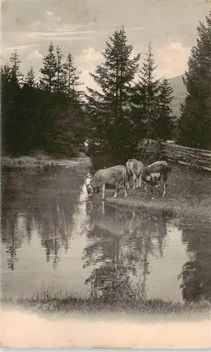 AK / Ansichtskarte 73956958 Landwirtschaft Kuehe Teich Nr. 22047 Geb, Wehrli