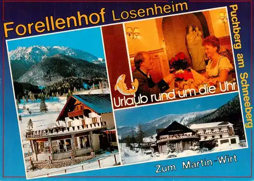 AK / Ansichtskarte  Puchberg_Schneeberg_Niederoesterreich_AT Hotel Restaurant Forellenhof Zum Martin Wirt Gastraum