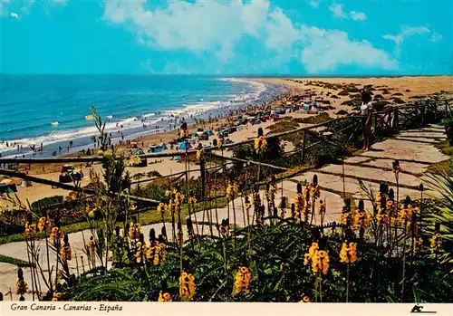AK / Ansichtskarte  Gran_Canaria_ES Strandpartie