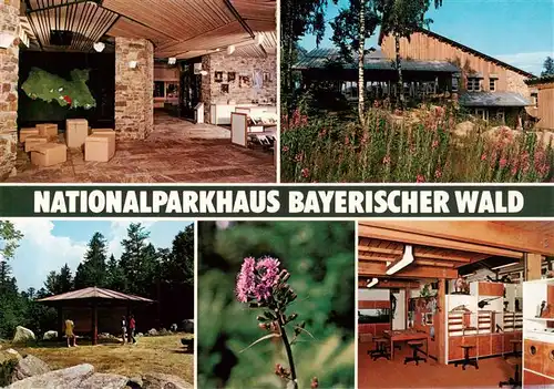 AK / Ansichtskarte  Mitterfels Nationalparkhaus Bayerischer Wald Eingangshalle Geologisches Freigelaende Botanisches Freigelaende Erlebnisraum