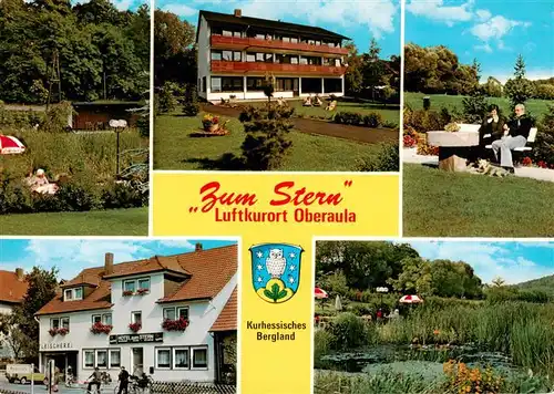 AK / Ansichtskarte  Oberaula Hotel Pension zum Stern Garten Teich