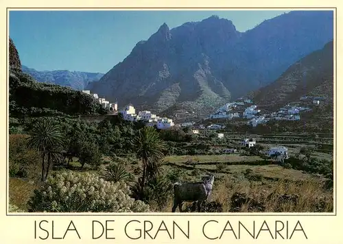 AK / Ansichtskarte  Agaete_Las_Palmas_Gran_Canaria_ES Panorama