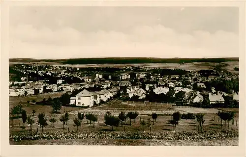 AK / Ansichtskarte  Ceska-Trebova_Boehmisch_Truebau_CZ Panorama