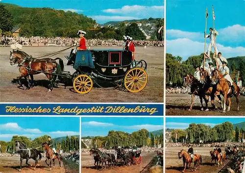 AK / Ansichtskarte  Dillenburg Hess Landgestuet Dillenburg Hengstparade Details