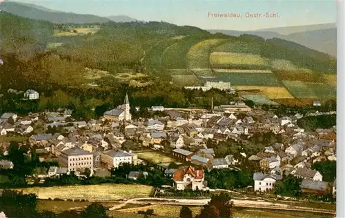 AK / Ansichtskarte  Freiwaldau_Jesenik_CZ Panorama