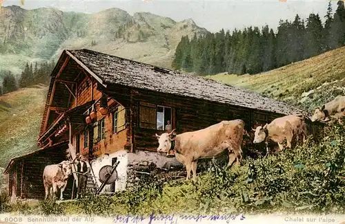 AK / Ansichtskarte  Landwirtschaft Kuehe Chalet sur lalpe 