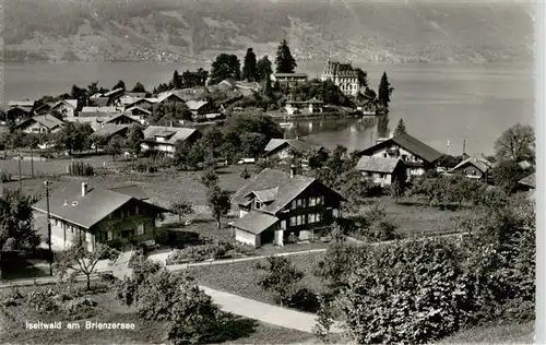 AK / Ansichtskarte  Iseltwald_BE Panorama Brienzersee