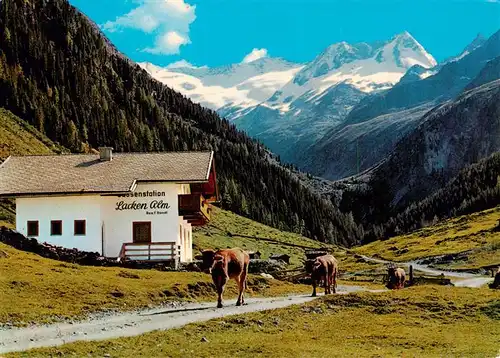 AK / Ansichtskarte  Gerlos_Zillertal_AT Jausenstation Lacken Alm mit Schoenachschneid und Zillerkopf