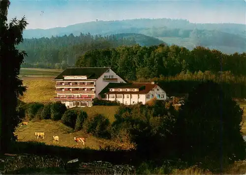 AK / Ansichtskarte 73958902 Waldmichelbach_Wald-Michelbach Sonnen Cafe Hotel Kreidacher Hoehe