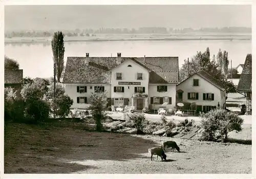 AK / Ansichtskarte  Bollingen_Zuerichsee_SG Gasthof Schiff